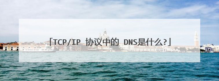 TCP/IP 协议中的 DNS是什么?