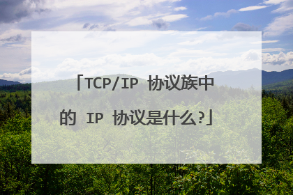 TCP/IP 协议族中的 IP 协议是什么?