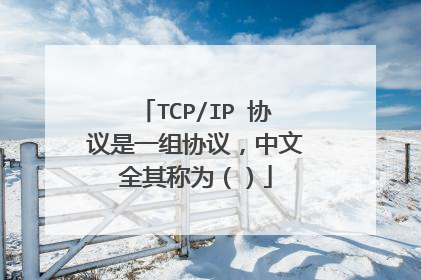 TCP/IP 协议是一组协议，中文全其称为（）