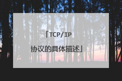 TCP/IP 协议的具体描述