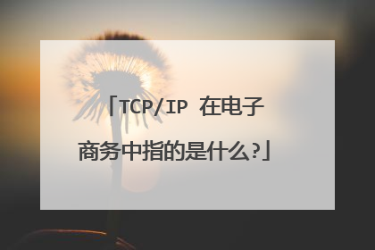 TCP/IP 在电子商务中指的是什么?