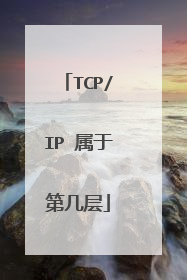 TCP/IP 属于第几层