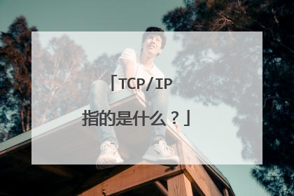 TCP/IP 指的是什么？