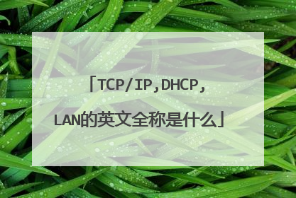 TCP/IP,DHCP,LAN的英文全称是什么