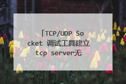 TCP/UDP Socket 调试工具建立tcp server无法获取ip地址为什么