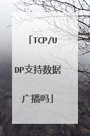 TCP/UDP支持数据广播吗