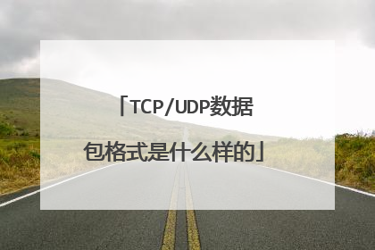 TCP/UDP数据包格式是什么样的
