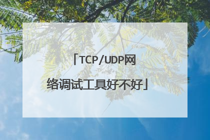 TCP/UDP网络调试工具好不好
