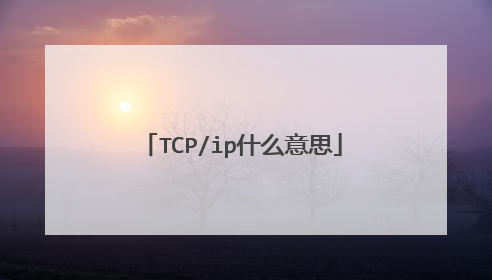 TCP/ip什么意思