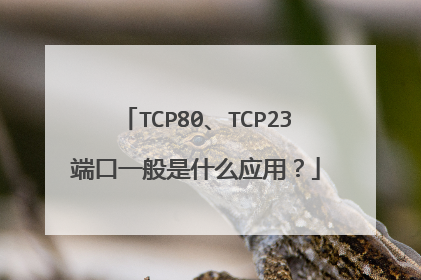 TCP80、TCP23端口一般是什么应用？