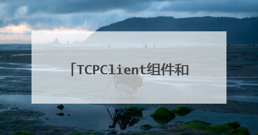 TCPClient组件和TCPServer组件的主要方法和属性有哪些？