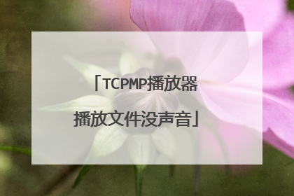 TCPMP播放器播放文件没声音