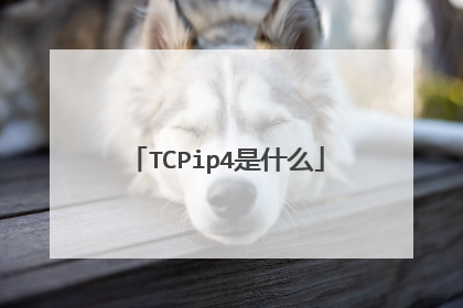 TCPip4是什么