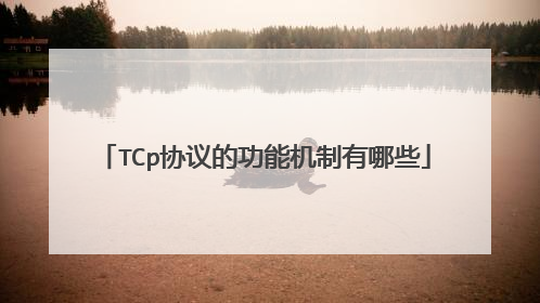 TCp协议的功能机制有哪些