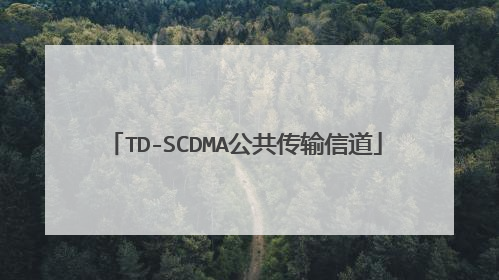 TD-SCDMA公共传输信道