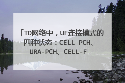 TD网络中，UE连接模式的四种状态：CELL-PCH、URA-PCH、CELL-FACH、CELL-DCH。通俗的表示至的是什么？