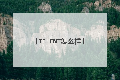 TELENT怎么样