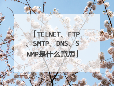 TELNET、FTP、SMTP、DNS、SNMP是什么意思
