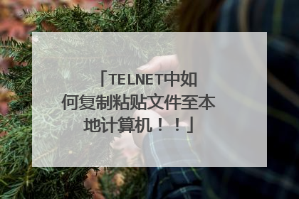 TELNET中如何复制粘贴文件至本地计算机!!