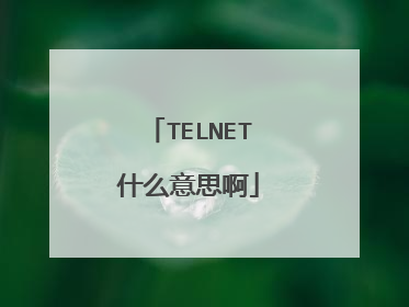 TELNET什么意思啊