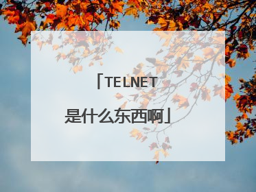TELNET是什么东西啊