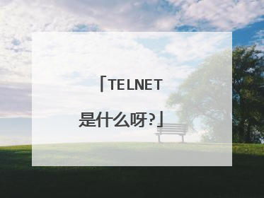 TELNET是什么呀?