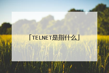TELNET是指什么