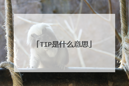 TIP是什么意思