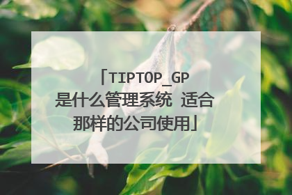TIPTOP_GP是什么管理系统 适合那样的公司使用