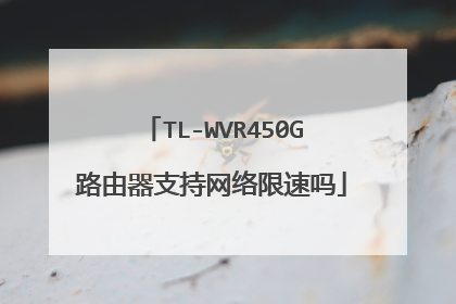 TL-WVR450G路由器支持网络限速吗
