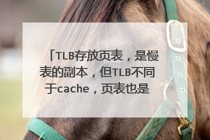TLB存放页表,是慢表的副本,但TLB不同于cache,页表也是内存中的页,页表会不会出现在cac