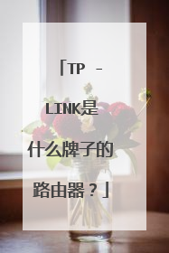TP -LINK是什么牌子的路由器?