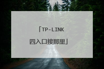 TP-LINK四入口接那里