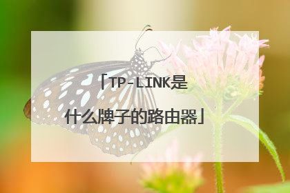 TP-LINK是什么牌子的路由器