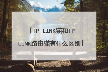 TP-LINK猫和TP-LINK路由猫有什么区别