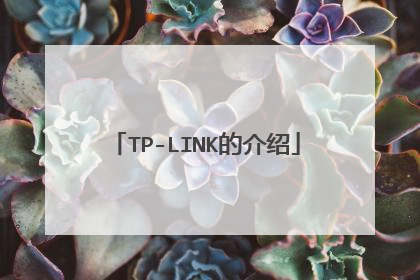 TP-LINK的介绍
