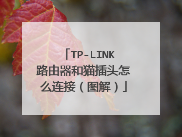 TP-LINK路由器和猫插头怎么连接（图解）