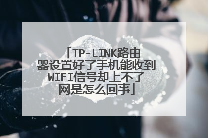 TP-LINK路由器设置好了手机能收到WIFI信号却上不了网是怎么回事