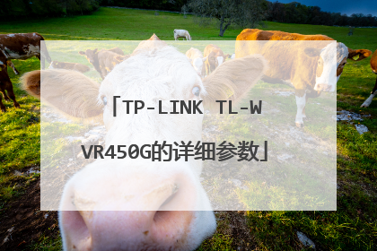 TP-LINK TL-WVR450G的详细参数
