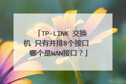 TP-LINK 交换机 只有并排8个接口 哪个是WAN接口?