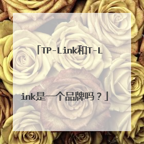 TP-Link和T-Link是一个品牌吗?