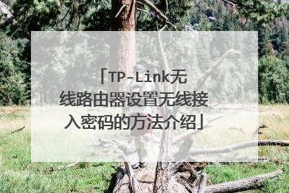 TP-Link无线路由器设置无线接入密码的方法介绍