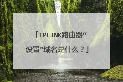 TPLINK路由器“设置”域名是什么？