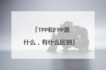 TPP和FPP是什么，有什么区别
