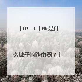 TP一L丨Nk是什么牌子的路由器？