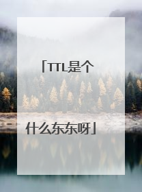 TTL是个什么东东呀
