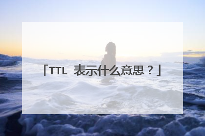 TTL 表示什么意思？