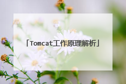 Tomcat工作原理解析