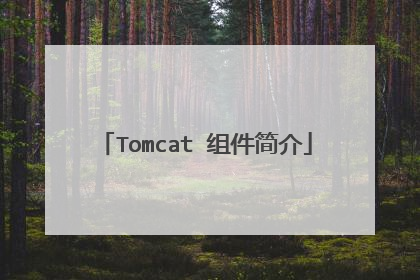 Tomcat 组件简介