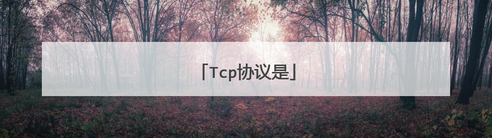Tcp协议是